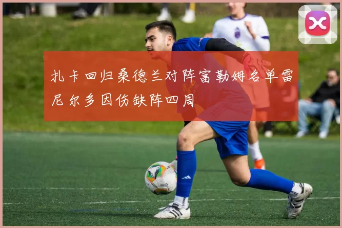 扎卡回归桑德兰对阵富勒姆名单雷尼尔多因伤缺阵四周